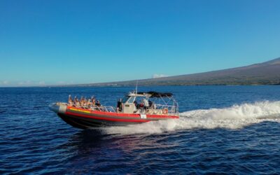 Charters 4 Hour Molokini Crater & Turtle Town SnorkelingMakena Coast Charters/ Shop 4 Maui