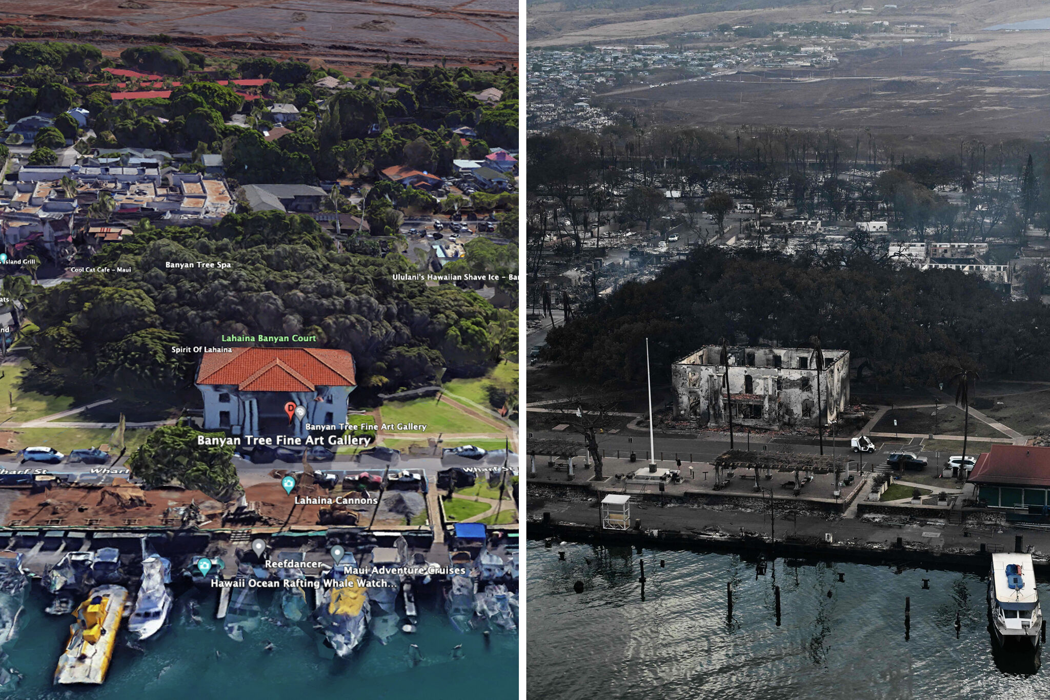 before and after Lahaina Fires